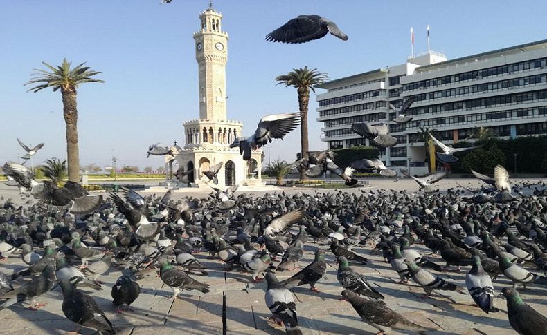 Konak Meydanı güvercinlere emanet