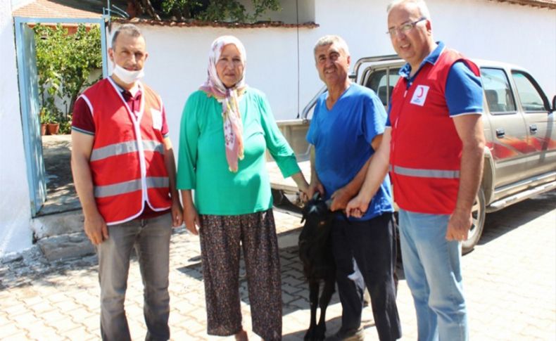 Kurbanlık keçisini Türk Kızılaya bağışladı