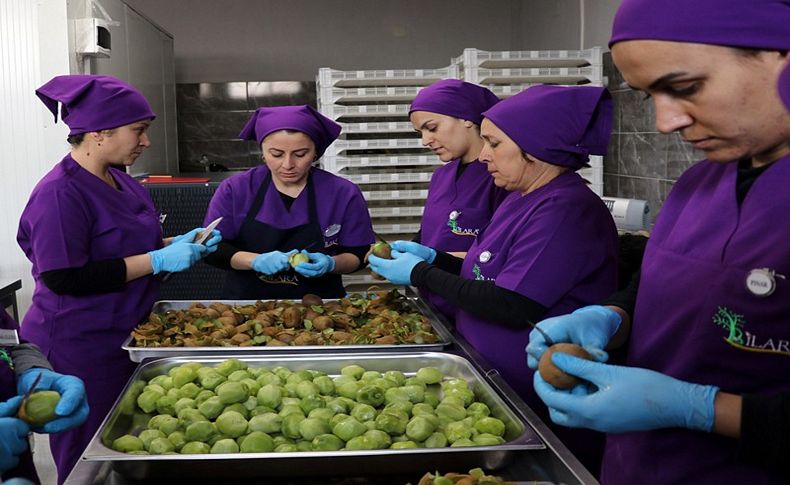 Kuru meyveler 30 kadına 'ekmek' oldu