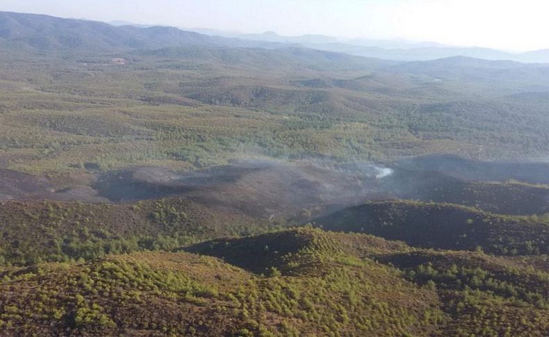 Marmaris'te 20 hektarlık kızılçam ormanı kül oldu