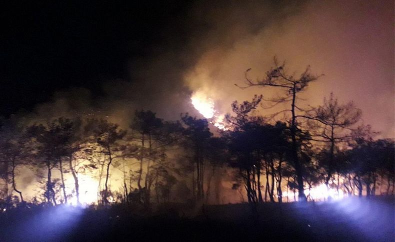 Marmaris'te ormanlık alanda korkutan yangın