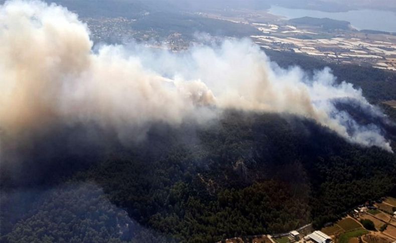 Menderes'teki orman yangını kontrol altında alındı!