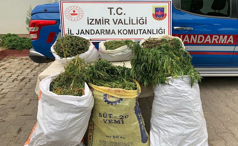 Menderes ve Beydağ'da uyuşturucu operasyonları