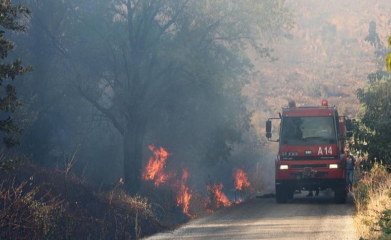 Menemen'de orman yangını