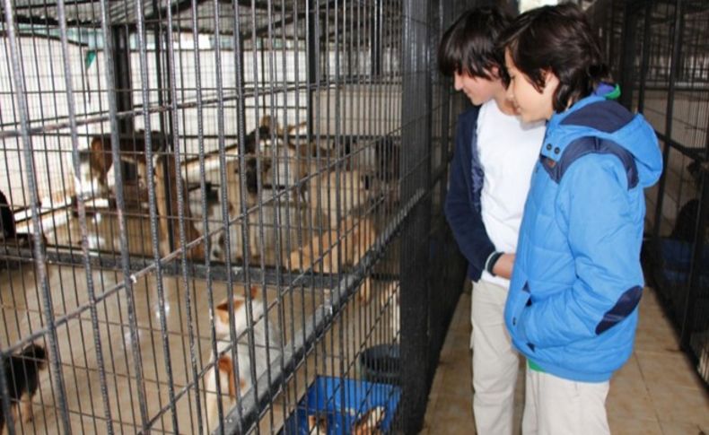 Öğrencilerden hayvan barınağına ziyaret