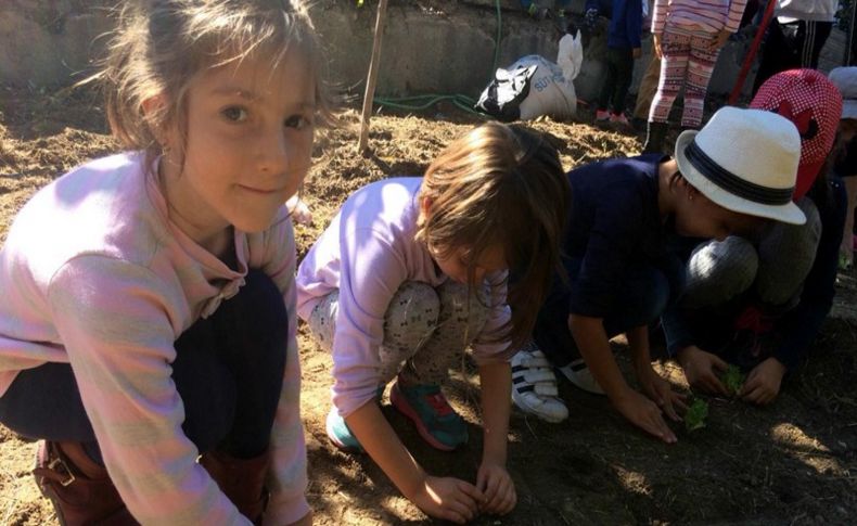 Öğrencileri için okulda ekolojik bahçe kurdu