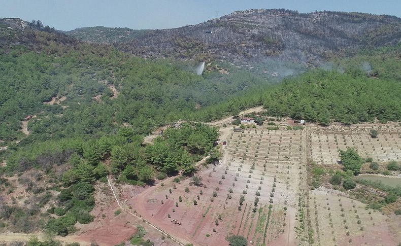 Orman yangını mağduru çiftçilere İzmir Büyükşehir'den can suyu