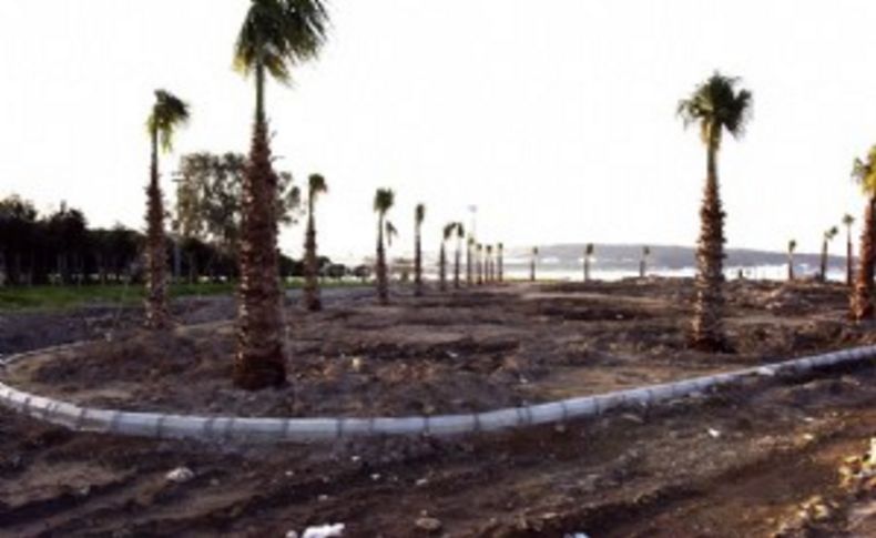 Aliağa Belediyesi'nden palmiye harekatı