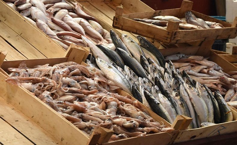 Pazaryerlerindeki balık tezgahları için 'sağlıksız' uyarısı