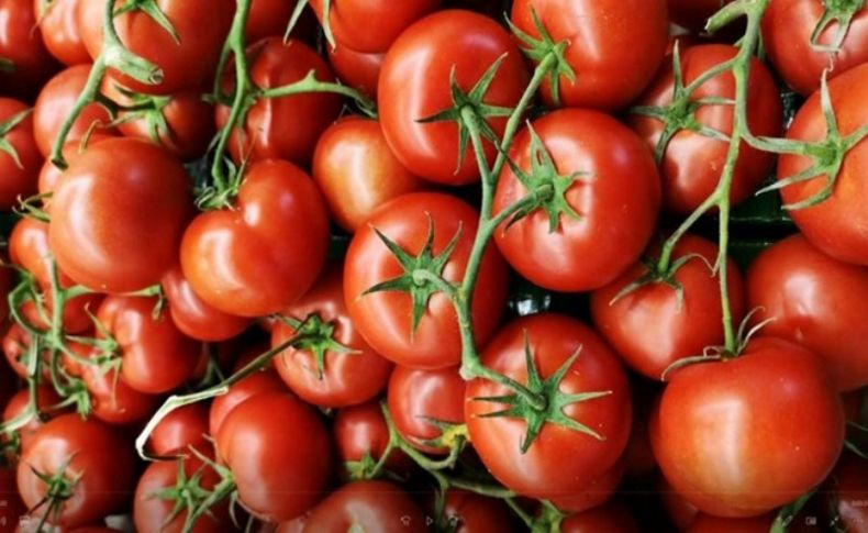 Rusya, Türkiye'den aldığı domates kotasını artırdı