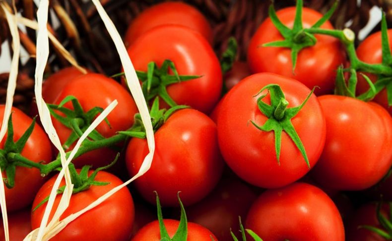 Rusya'ya domates ihracatında hedef 1 milyar dolar
