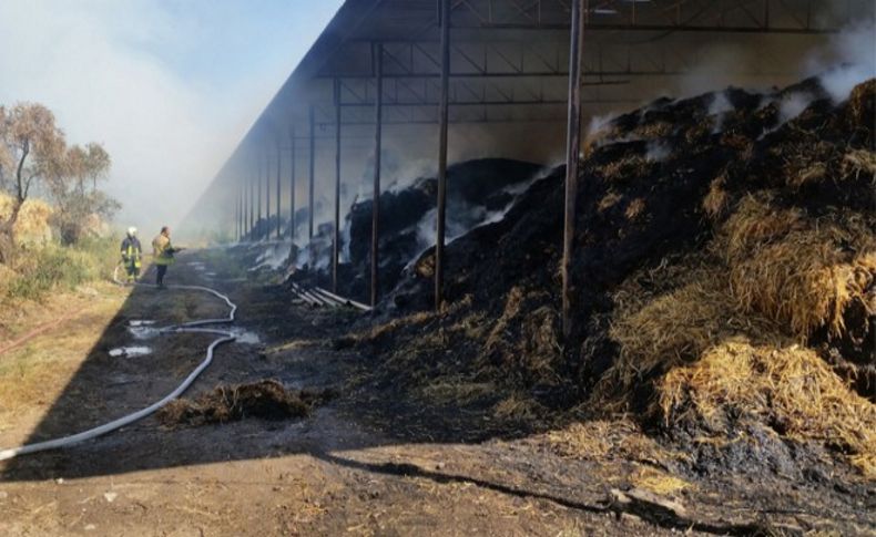 Tire'de binlerce ton saman alevlere teslim oldu