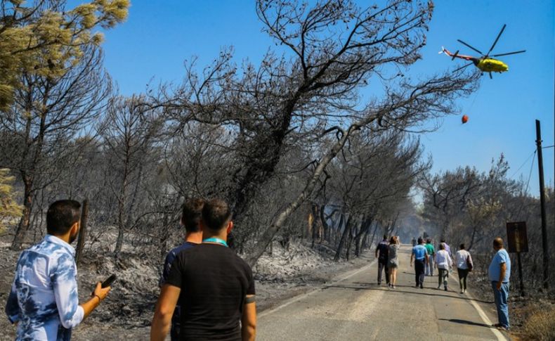 Seferihisar'daki orman yangınına ilişkin 2 şüpheli yakalandı