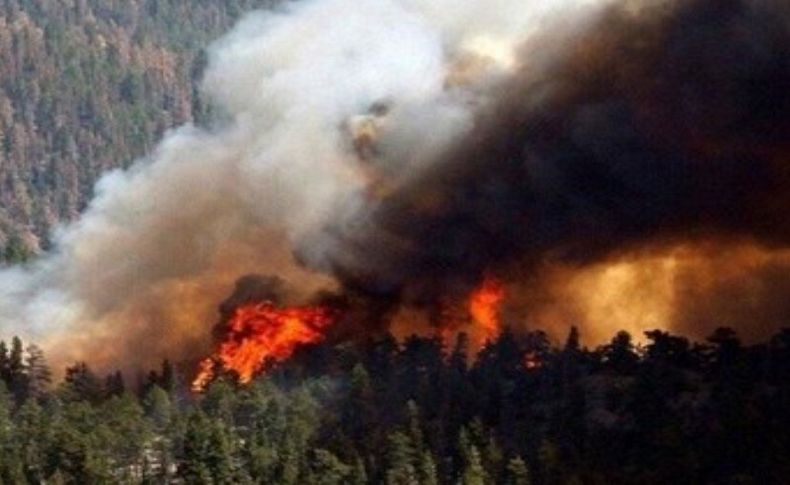Sibirya'da Ankara büyüklüğünde alan yanıyor