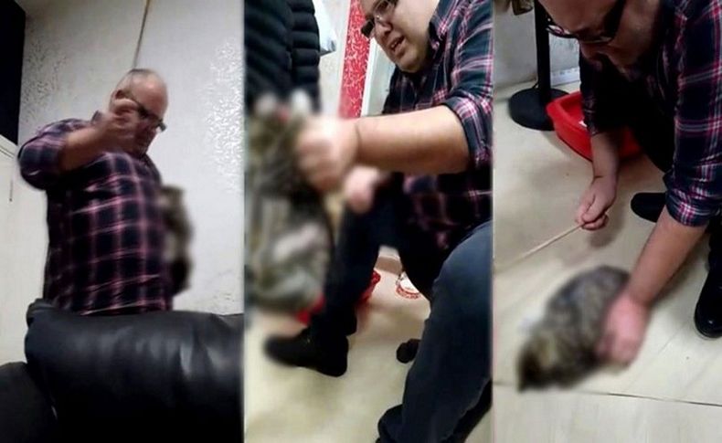 Skandal olay: İş adamı kediyi sopayla dövdü!