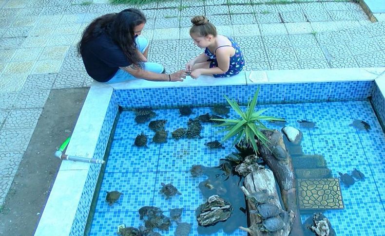 Süs havuzu su kaplumbağalarıyla doldu