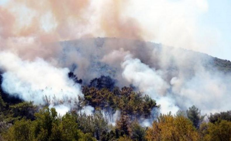 Tatil cennetinde bir haftada 11'inci orman yangını