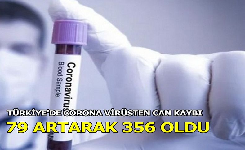 Türkiye'de corona virüsten can kaybı 79 artarak 356 oldu