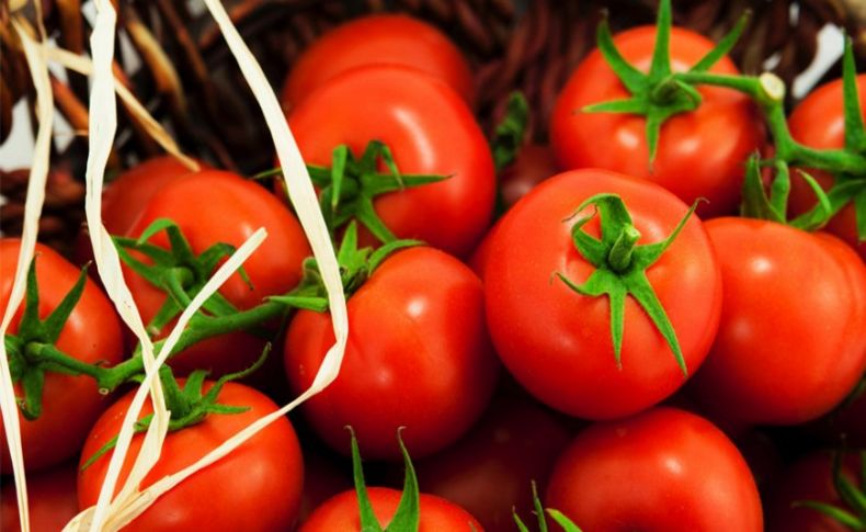 Türkiye'nin domates ihracatı 11 ayda 280 milyon dolara ulaştı