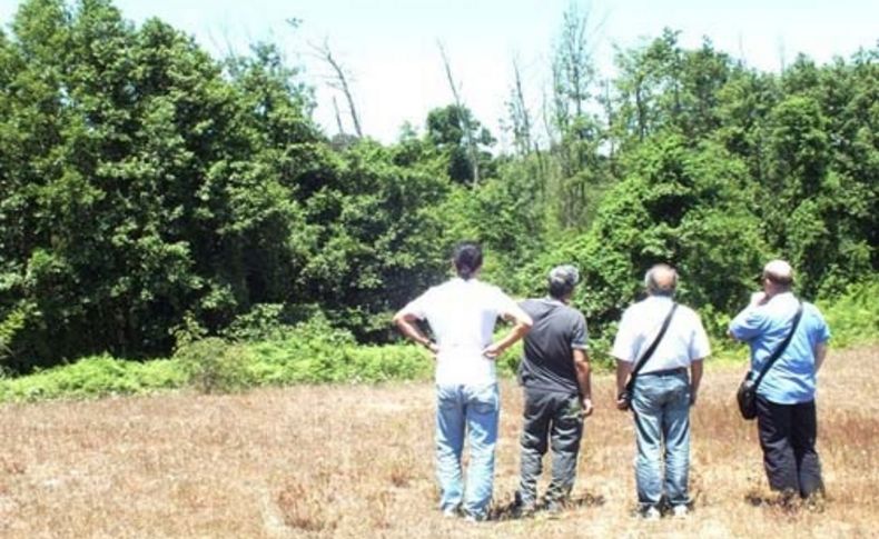 Türkiye'nin en büyük longozundaki kuruyan ağaçlar araştırılıyor
