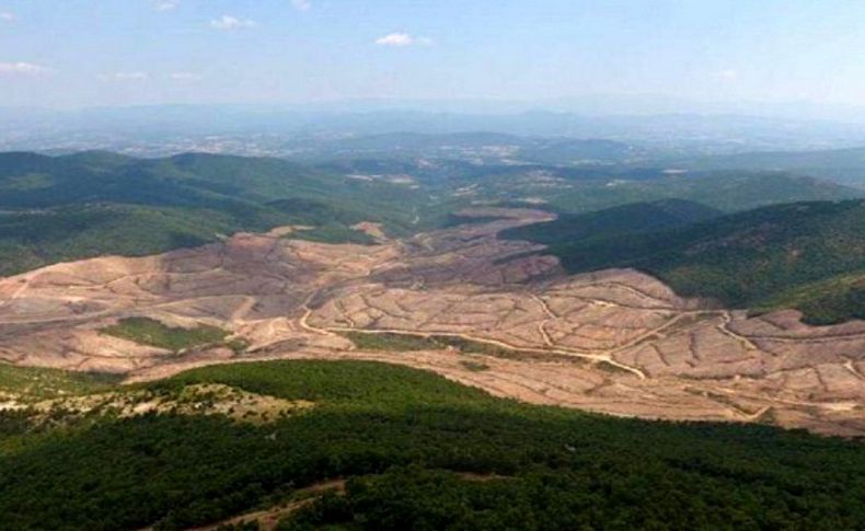 Ünlü profesörden çarpıcı Kaz Dağları açıklaması: Hibe kullanıp talana açtılar