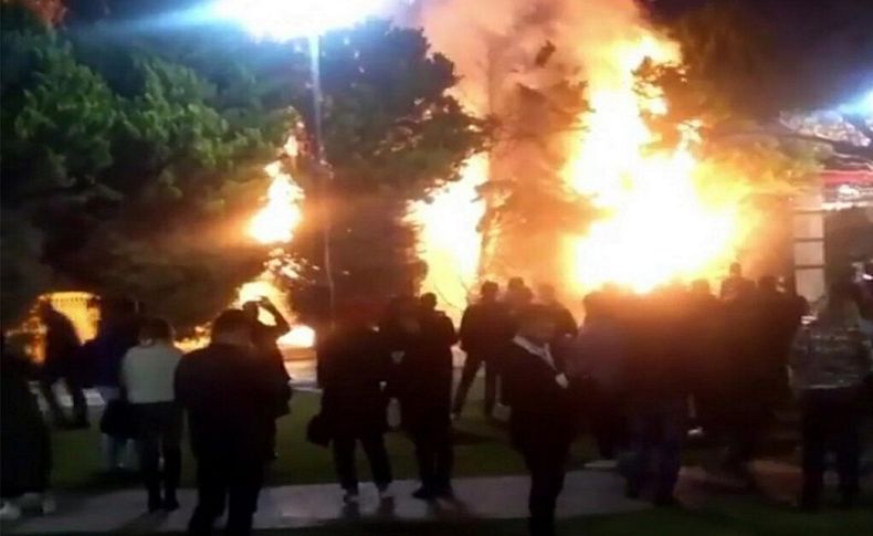 Vandallar İzmir'in göbeğinde ağaçları yaktı!