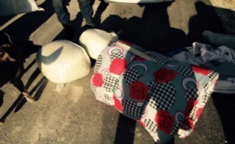 İzmir'e gelen yolcu otobüsünde kilolarca esrar yakalandı