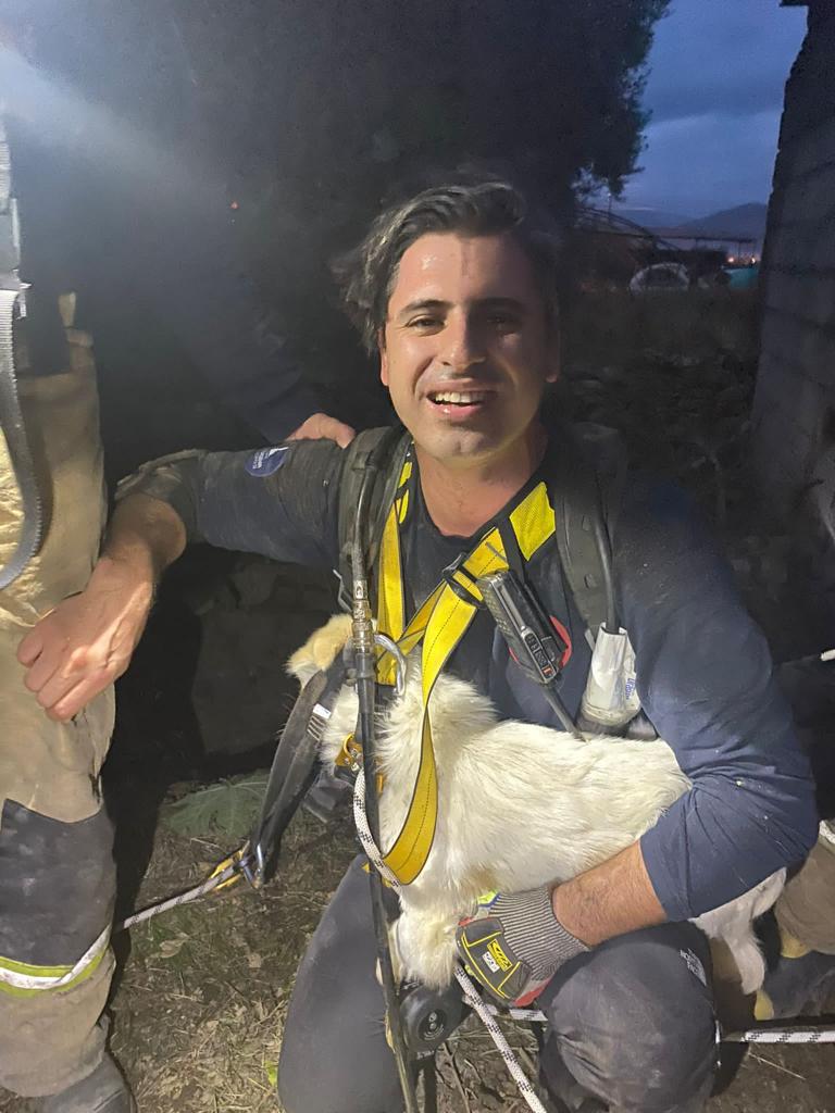 Bir aydır kayıp olan Pamuk’u İzmir İtfaiyesi sahibine kavuşturdu