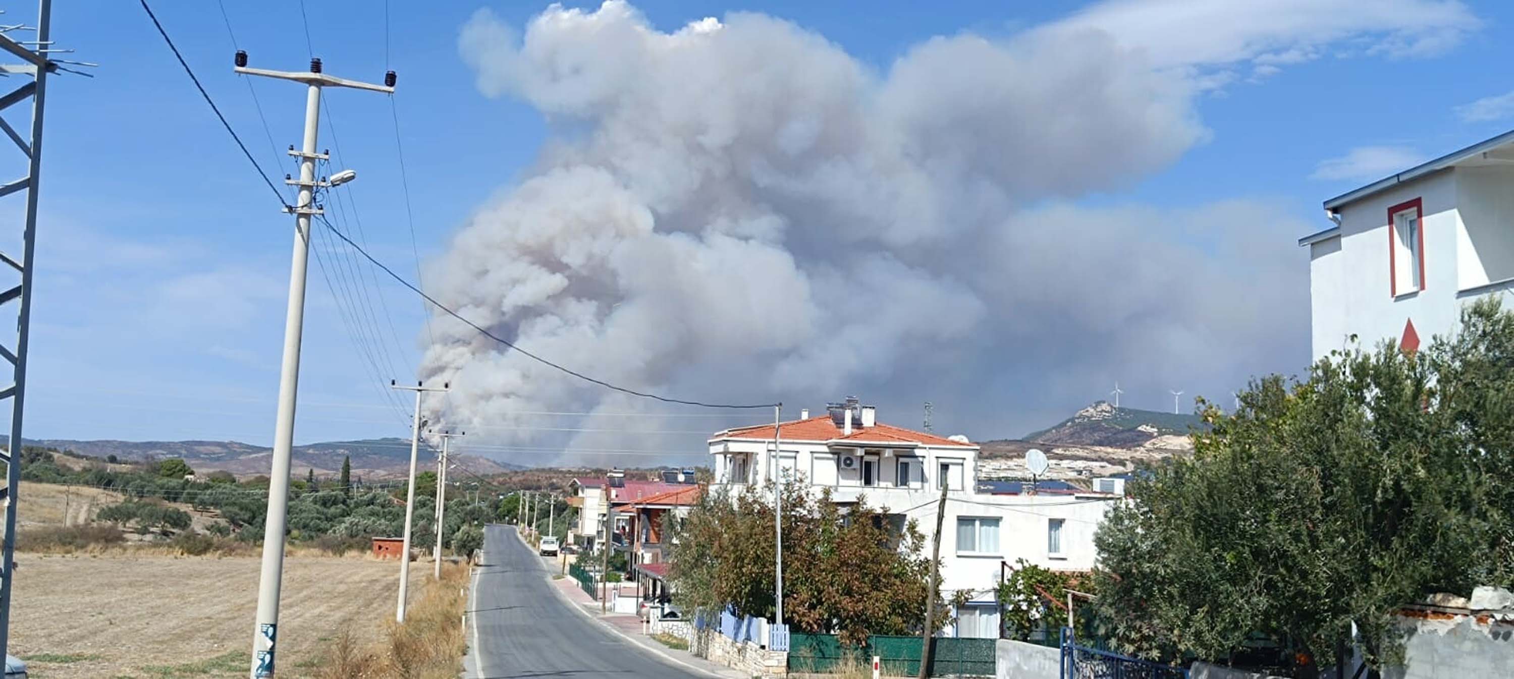 Foça'da orman yangını