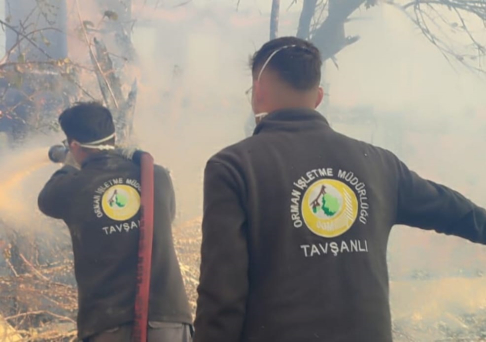 Kütahya'da çöplük yangını; 10 ev ile 2 samanlık yandı