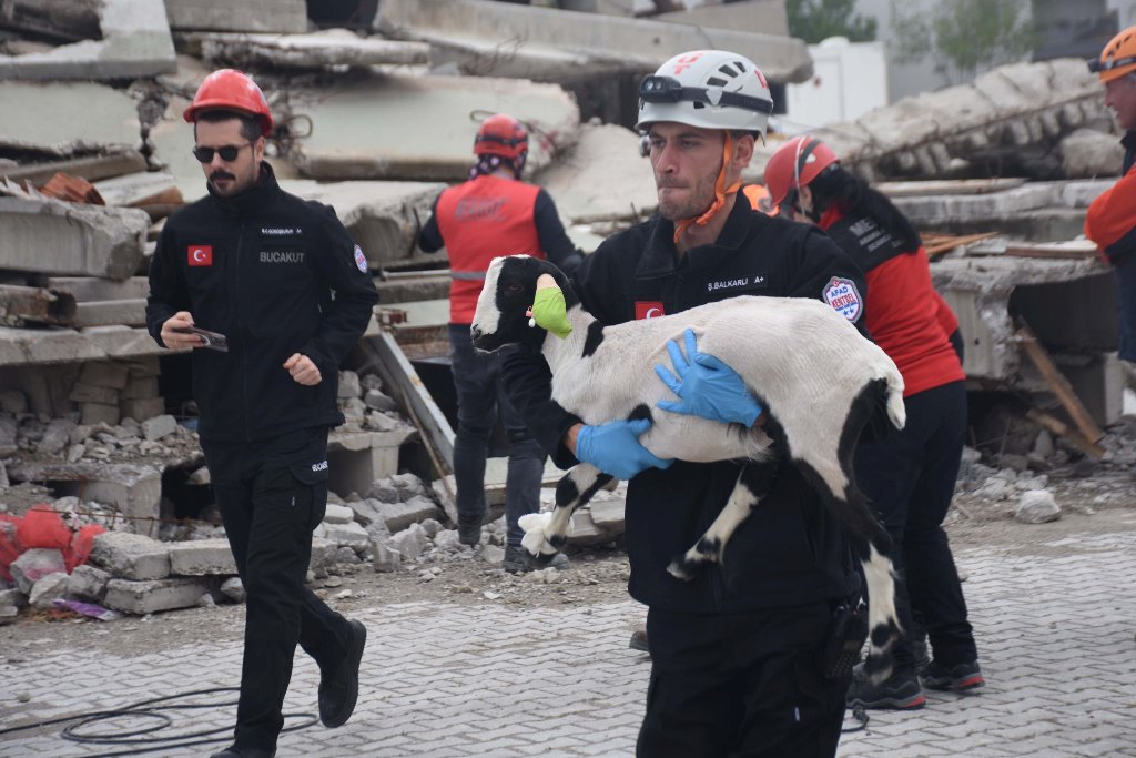 İzmir'de 'Hayvan Arama Kurtarma Tatbikatı' yapıldı