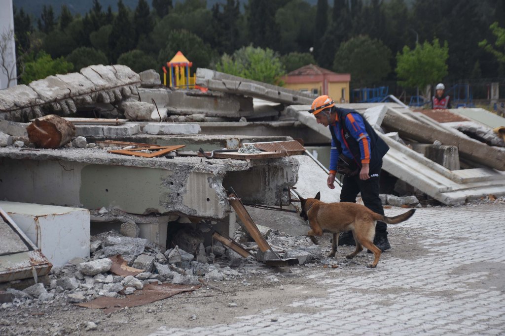 İzmir'de 'Hayvan Arama Kurtarma Tatbikatı' yapıldı