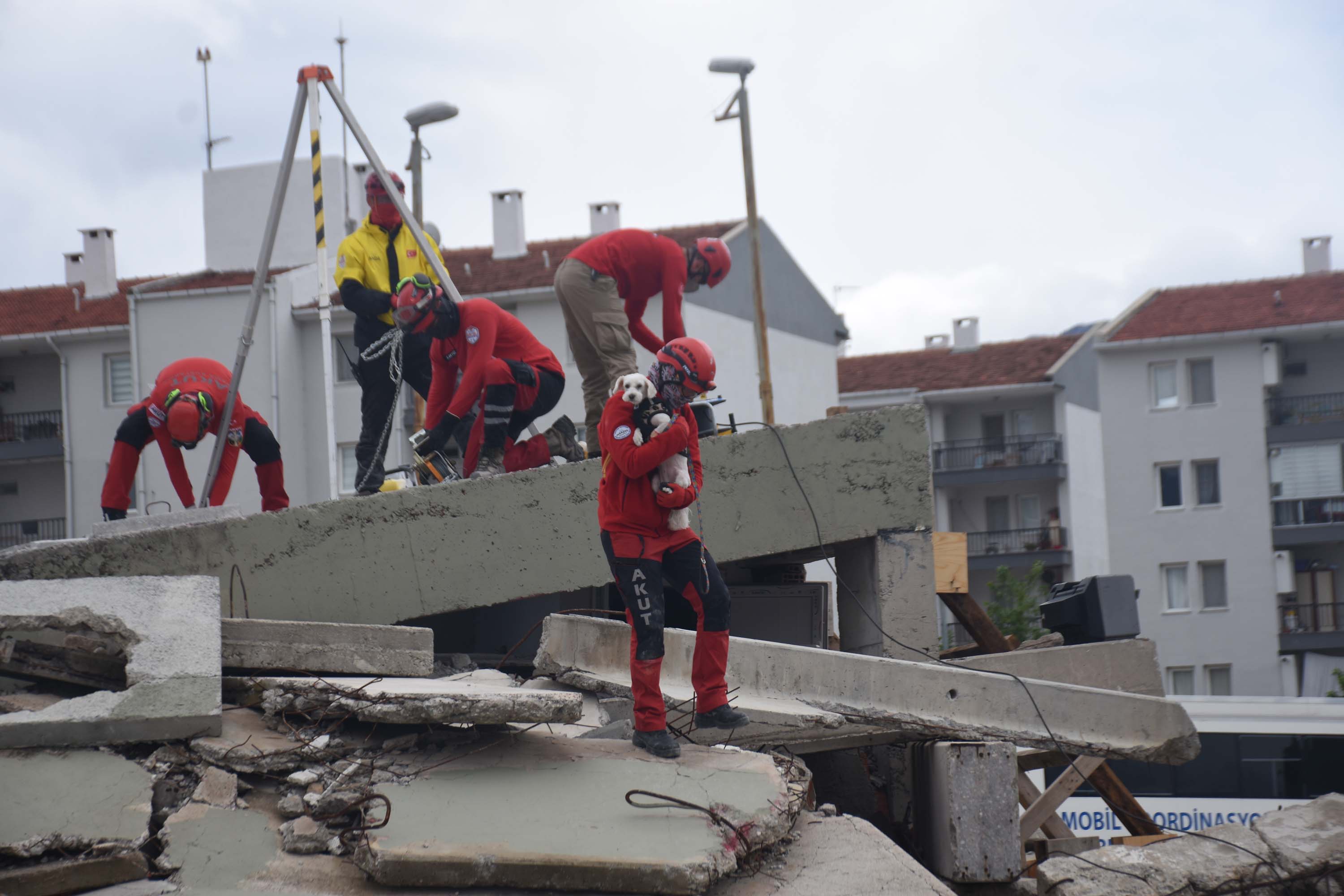 İzmir'de 'Hayvan Arama Kurtarma Tatbikatı' yapıldı