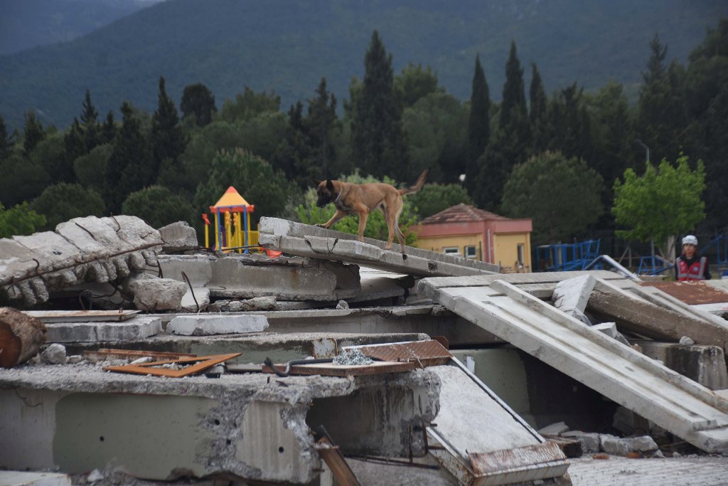 İzmir'de 'Hayvan Arama Kurtarma Tatbikatı' yapıldı