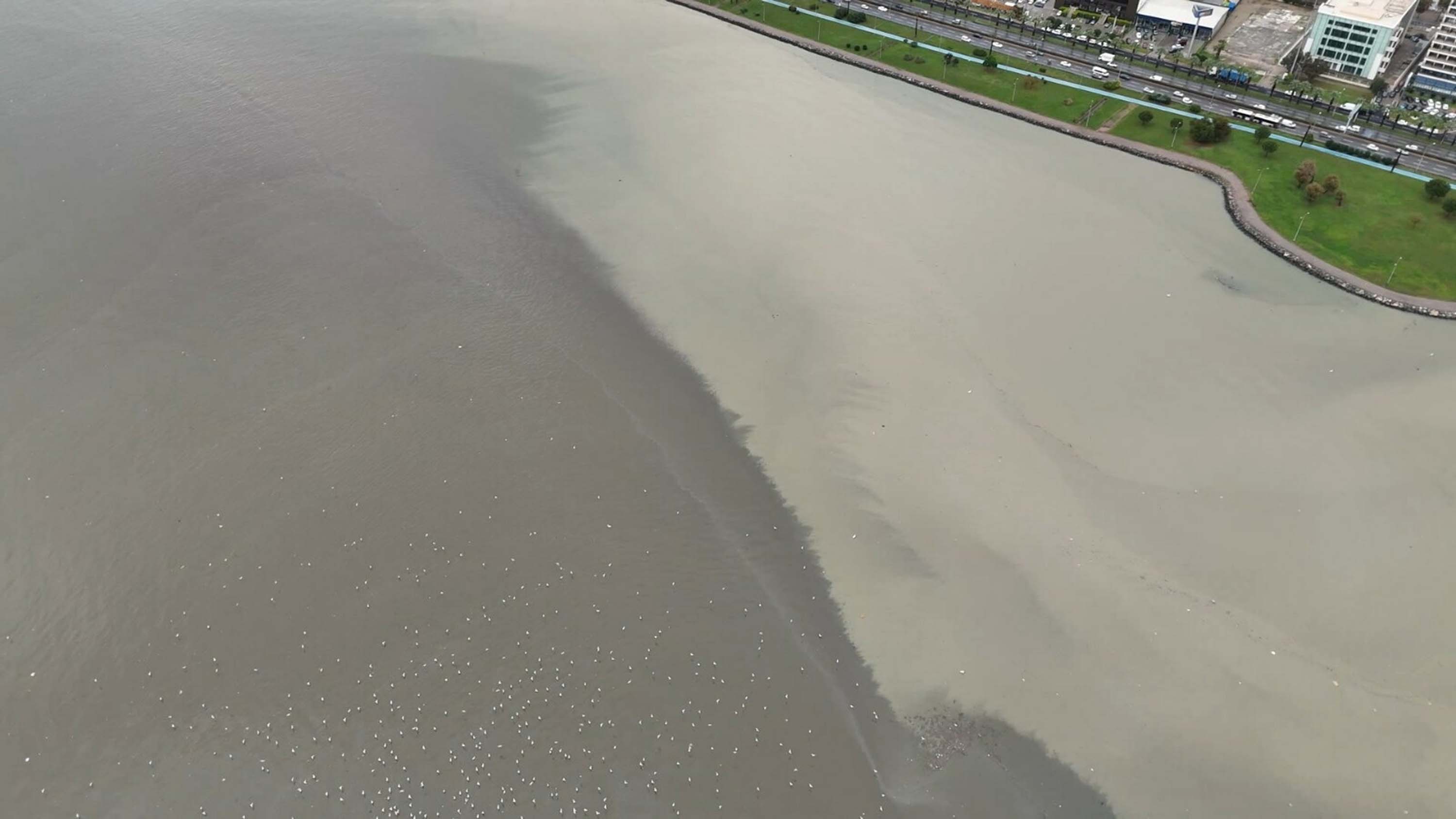 İzmir'de sağanak etkili oldu