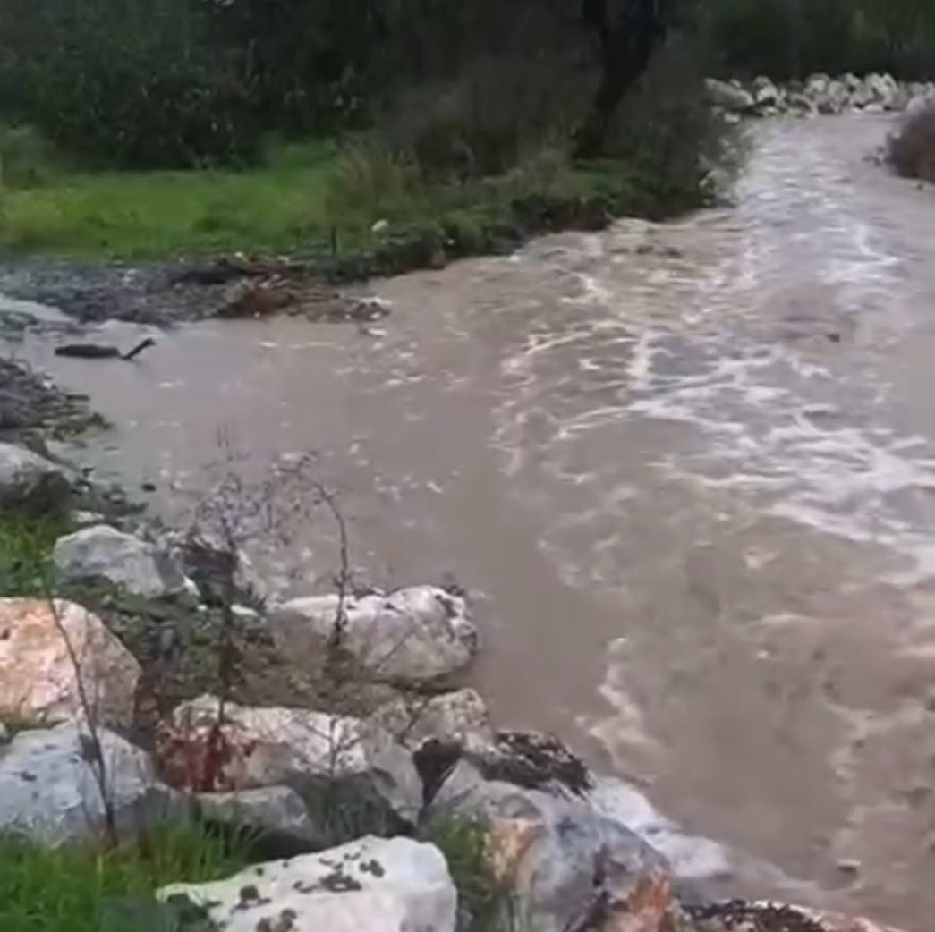 İzmir'de sağanak etkili oldu