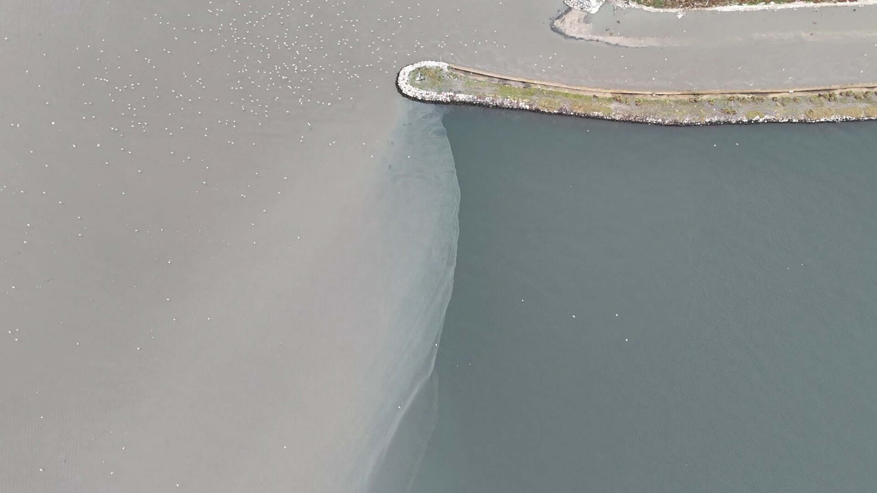 İzmir'de sağanak etkili oldu