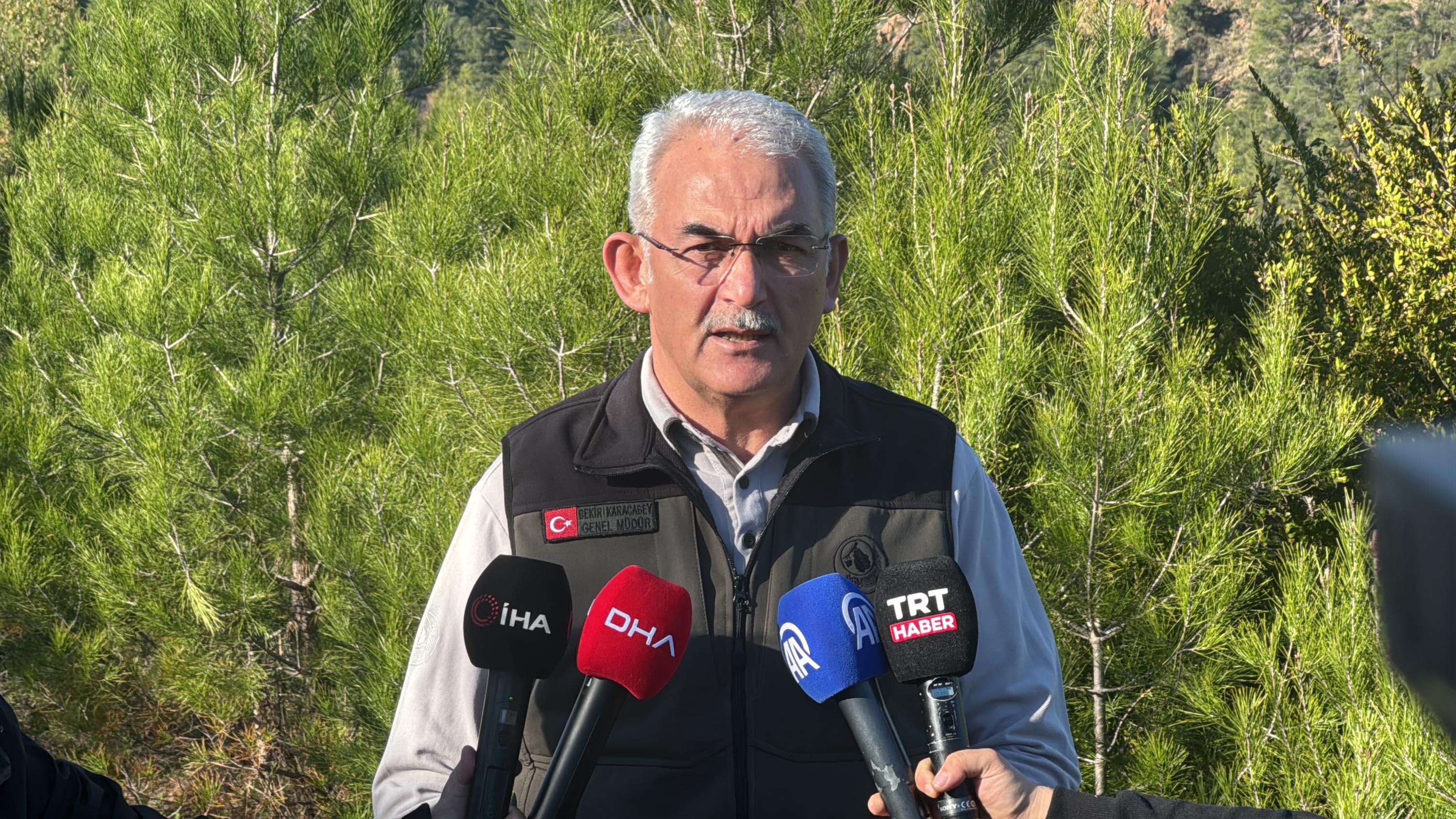 Dalaman'da yanan alanlar tekrar yeşerdi