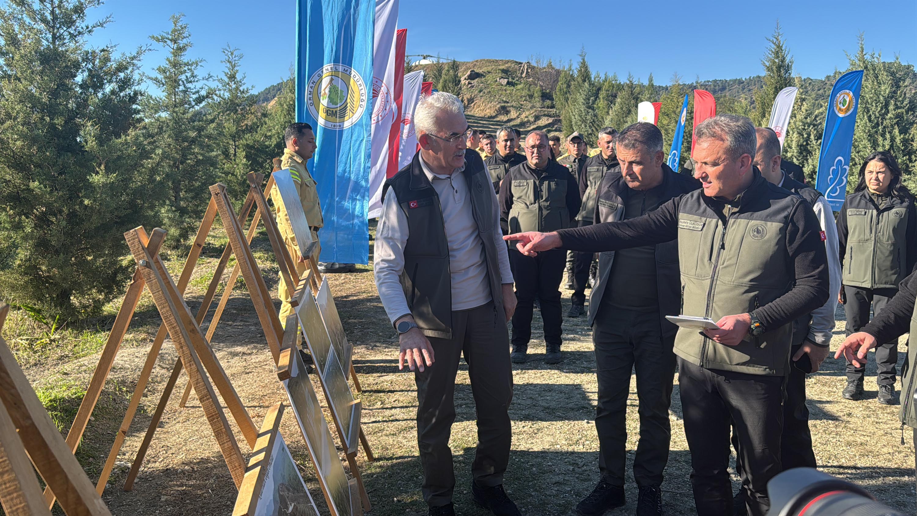 Dalaman'da yanan alanlar tekrar yeşerdi