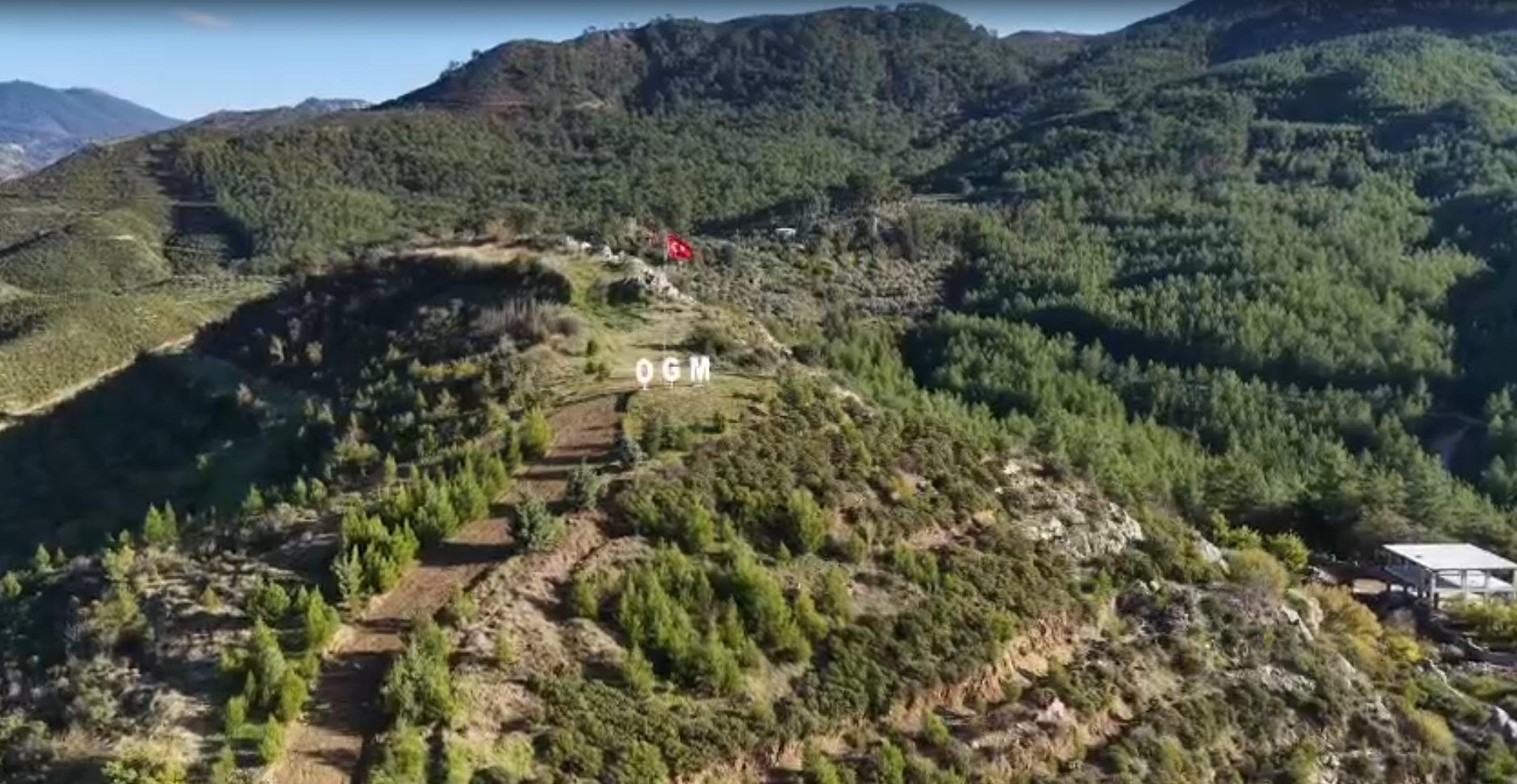 Dalaman'da yanan alanlar tekrar yeşerdi