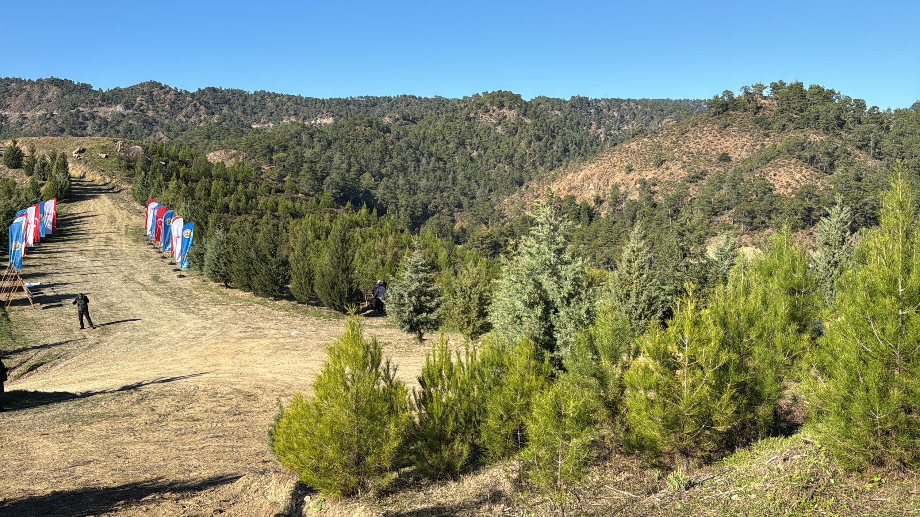 Dalaman'da yanan alanlar tekrar yeşerdi