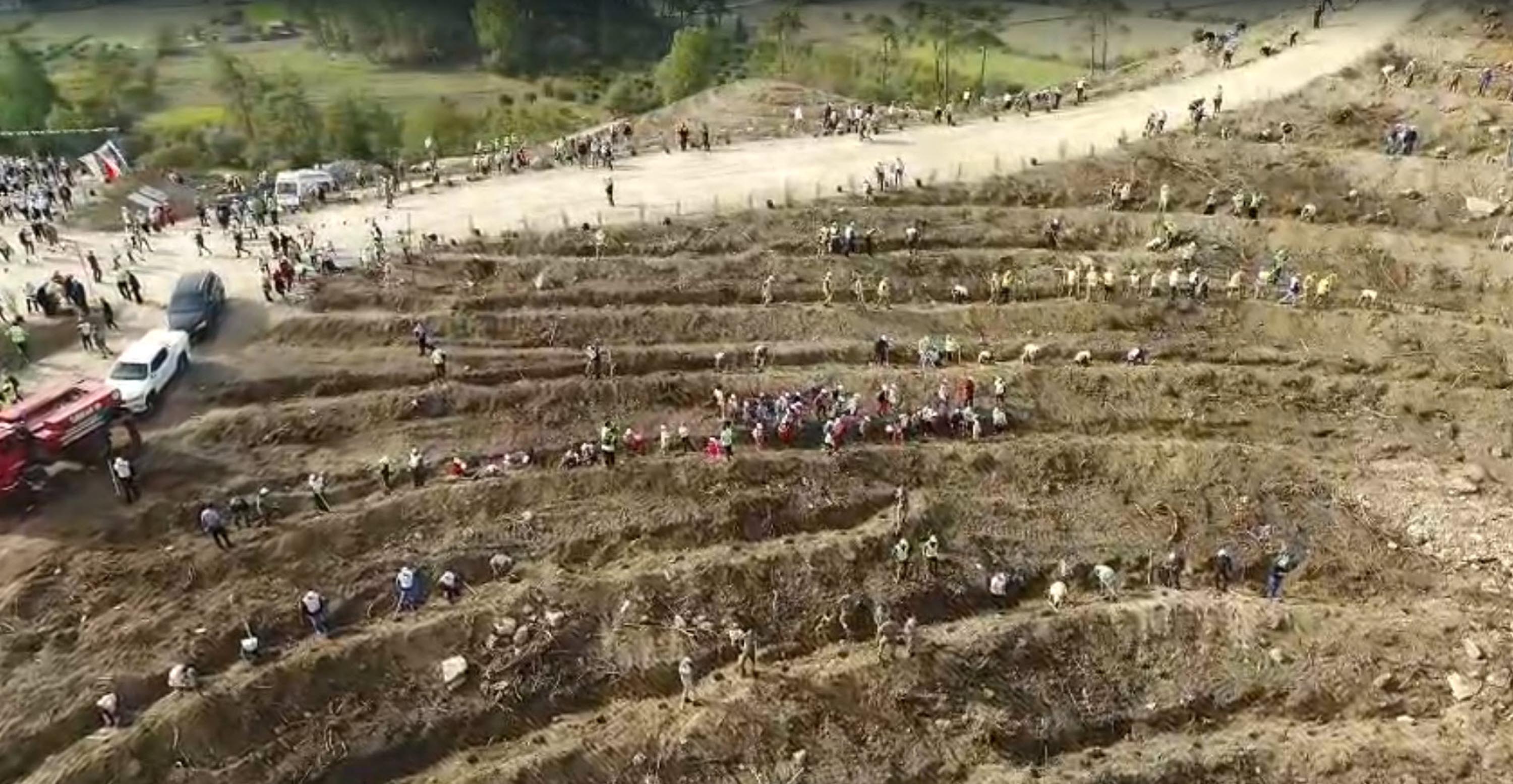 Dalaman'da yanan alanlar tekrar yeşerdi