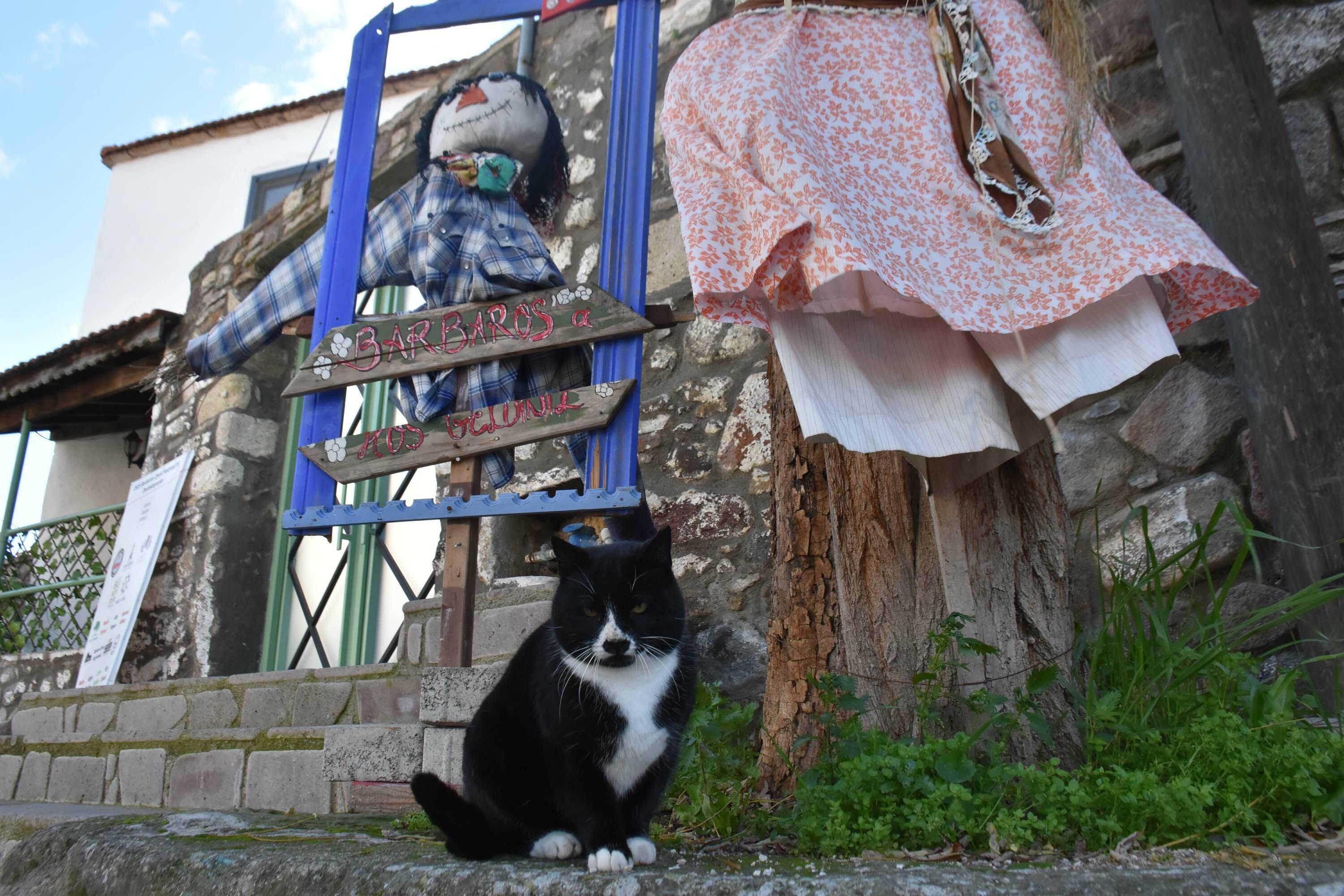 Barbaros Köyü 'En iyi turizm köyleri' listesinde