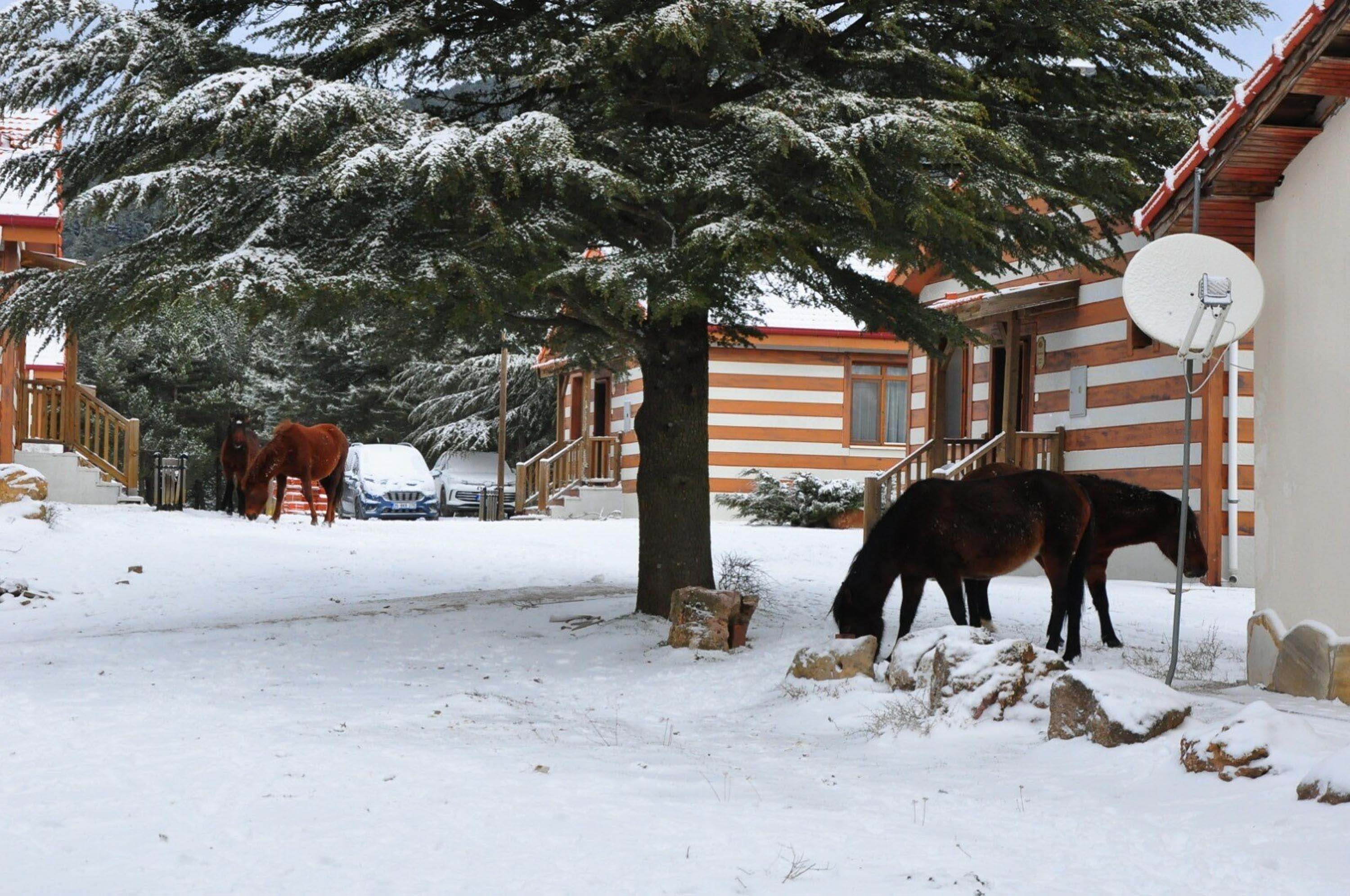 Spil Dağı, beyaz örtüyle kaplandı