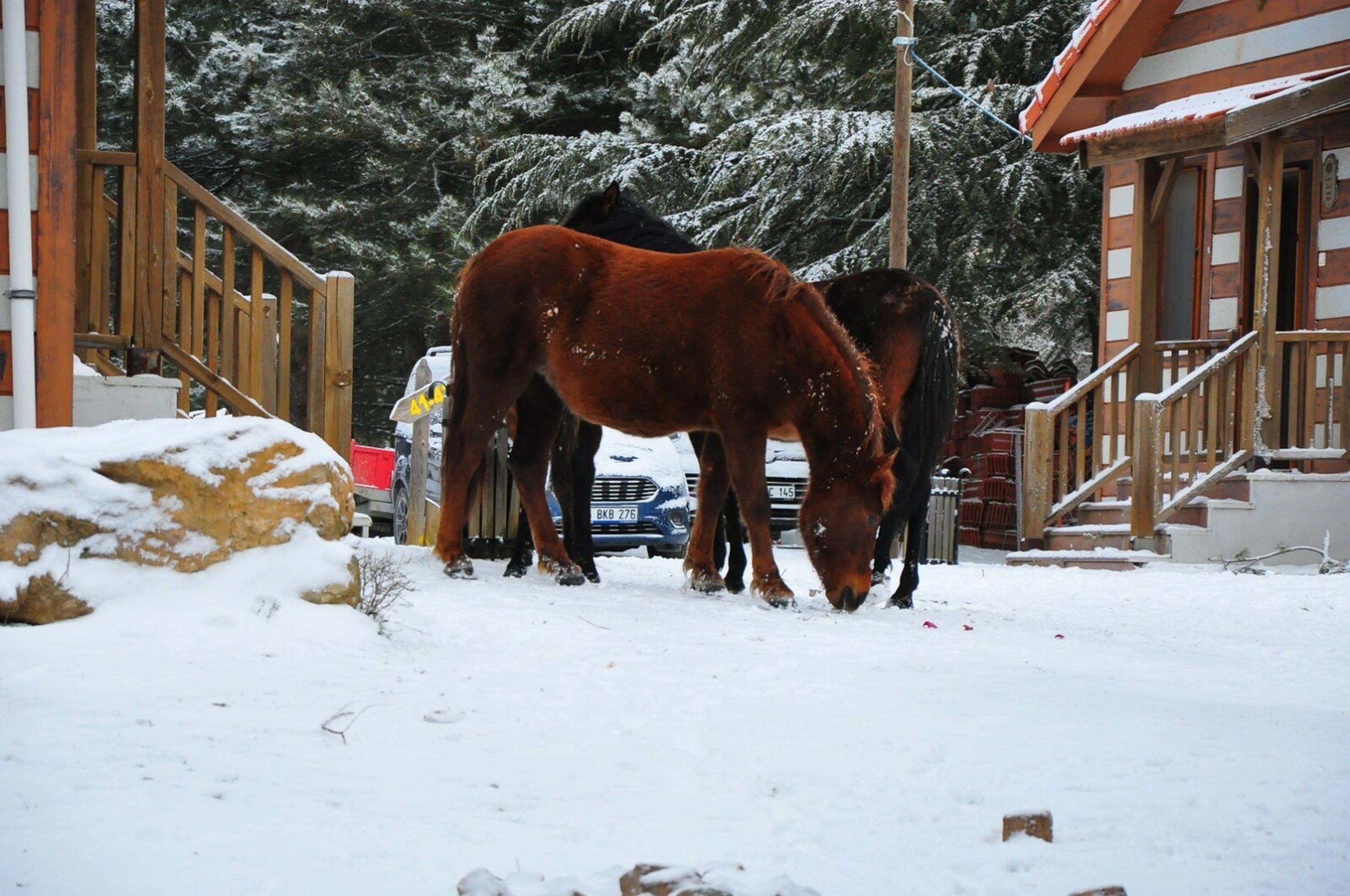 Spil Dağı, beyaz örtüyle kaplandı
