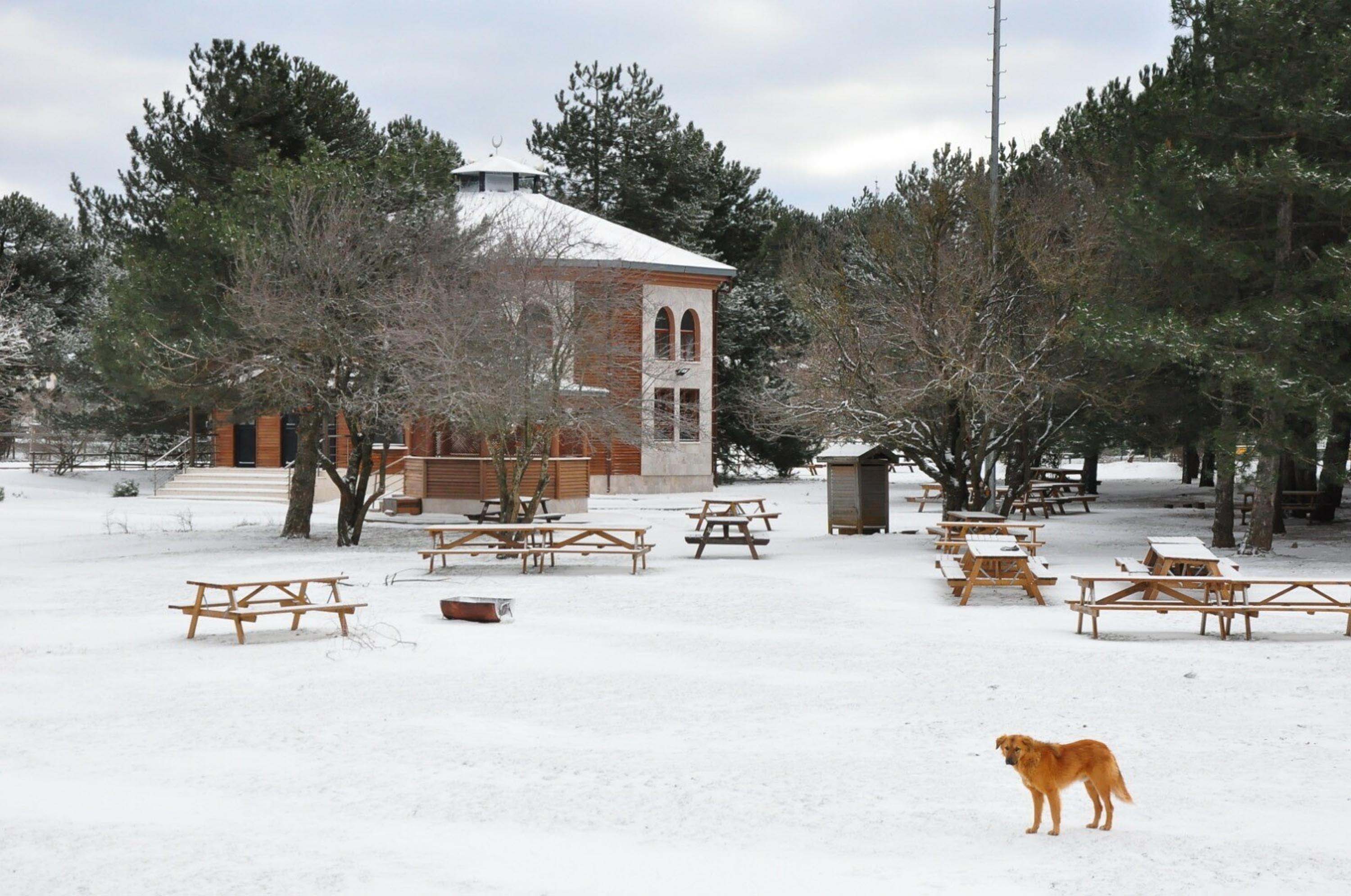 Spil Dağı, beyaz örtüyle kaplandı