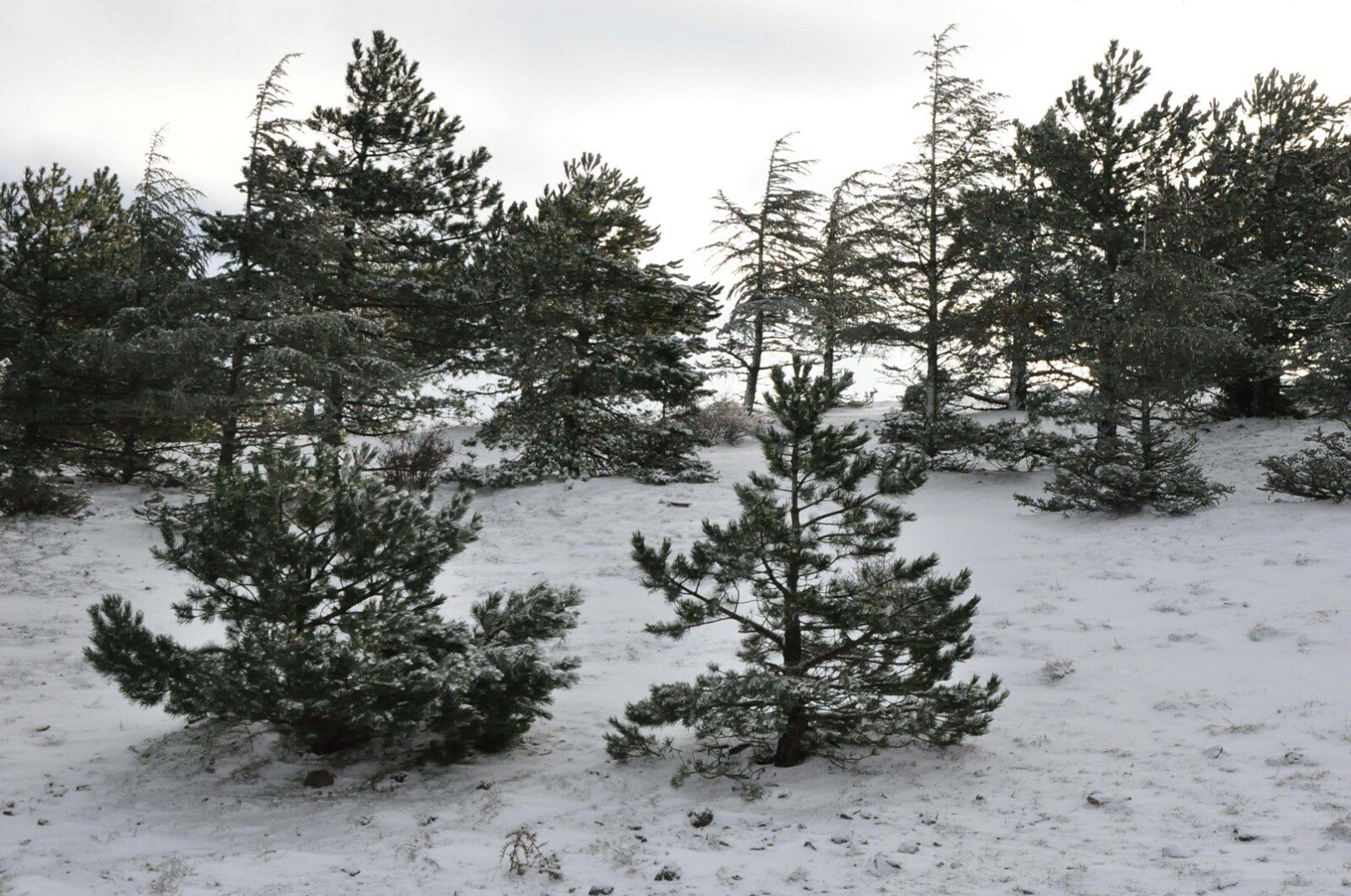 Spil Dağı, beyaz örtüyle kaplandı