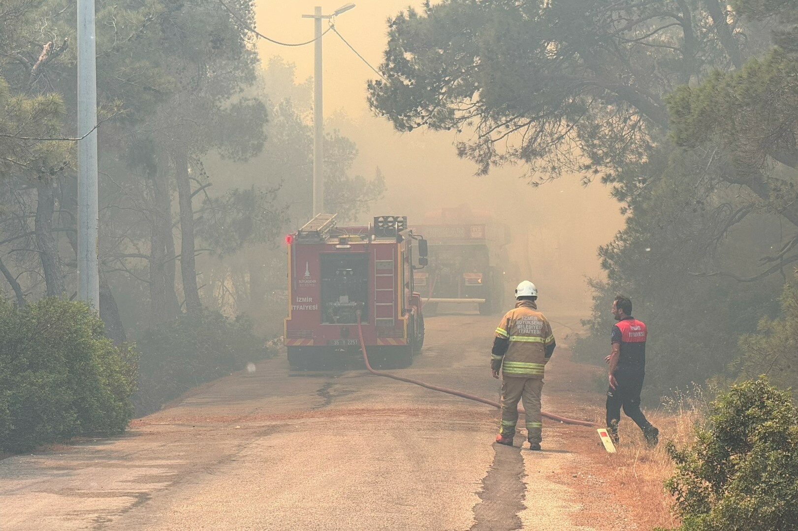 Karaburun'da orman yangını