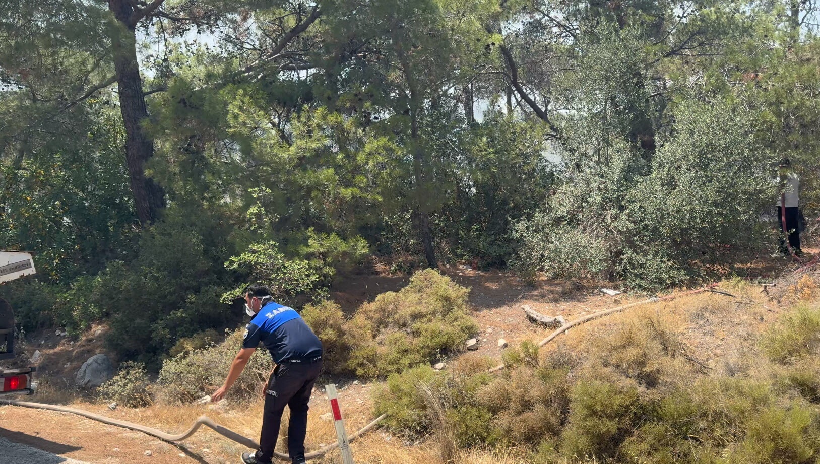 Karaburun'da orman yangını