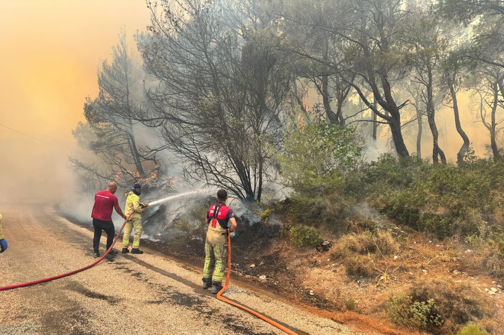 Karaburun'da orman yangını